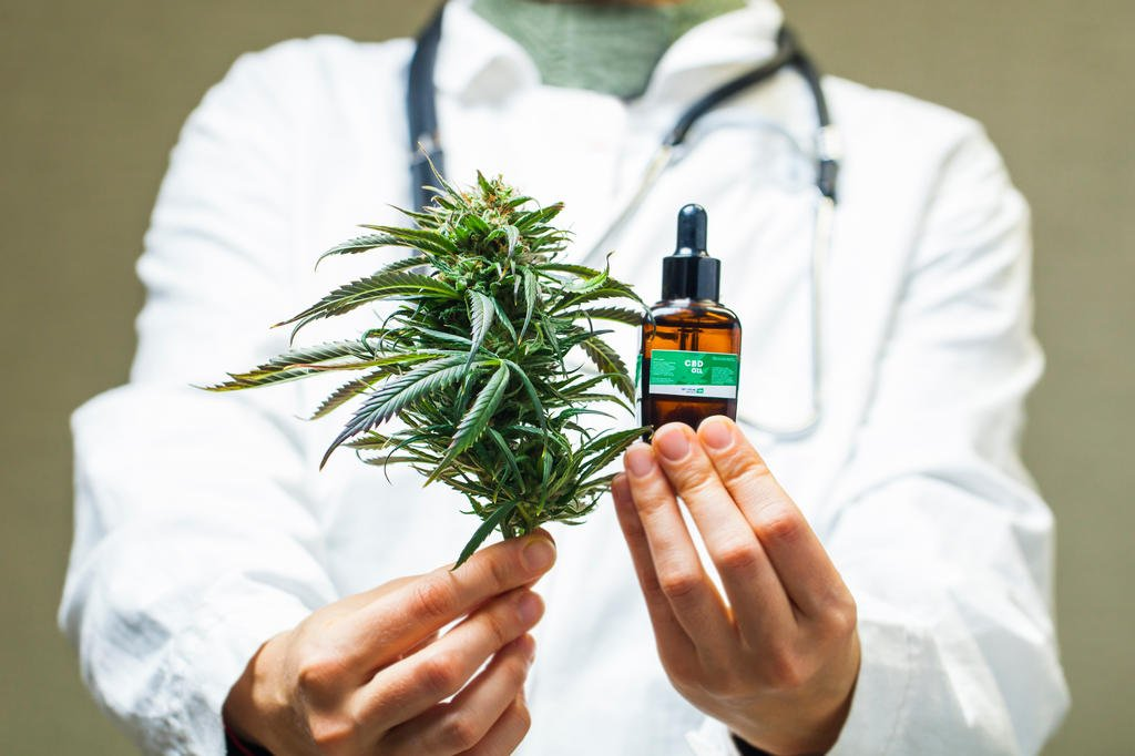 Anvisa quer liberar manipulação de medicamentos com Cannabis no Brasil