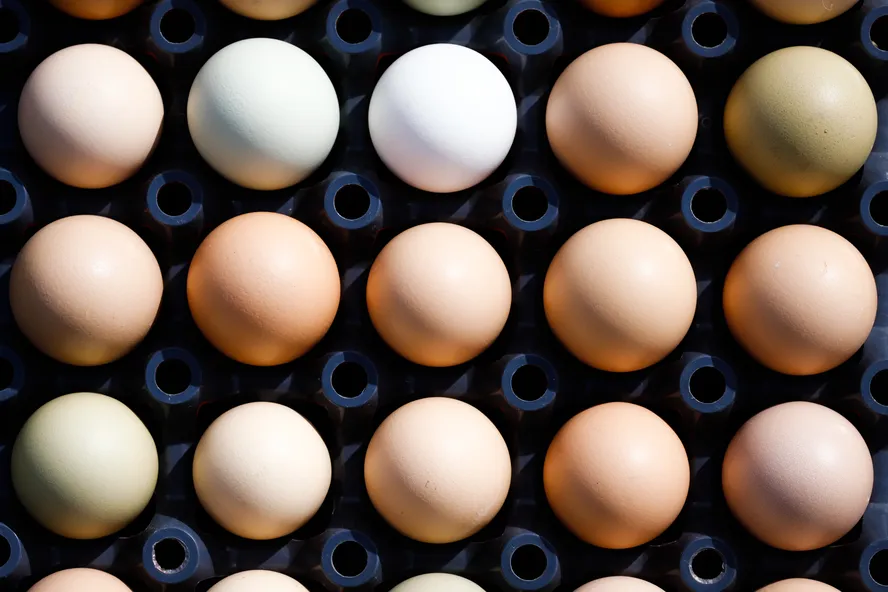 Ovo sobe quase 20% em março e pesa no bolso do consumidor