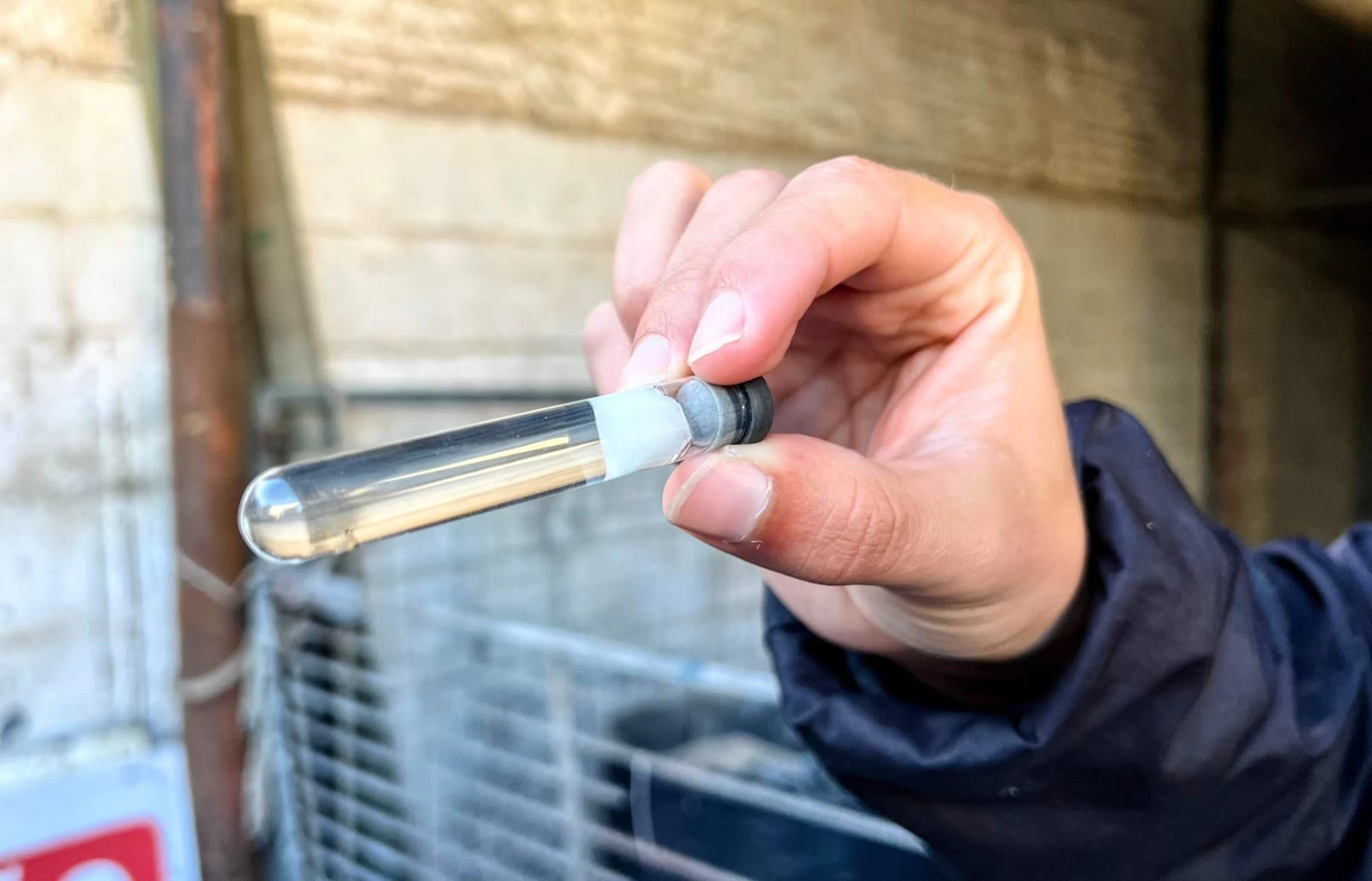 Foto: Divulgação/Prefeitura de Camboriú