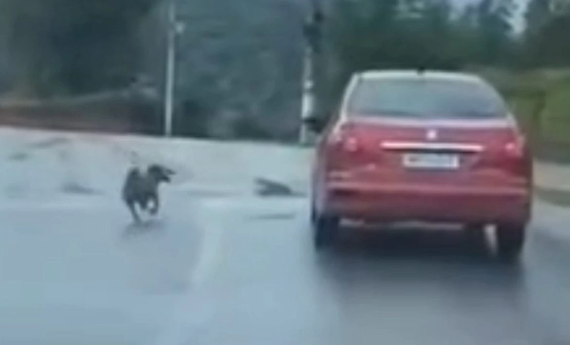 Ataque virtual após fake news termina em tragédia em Camboriú