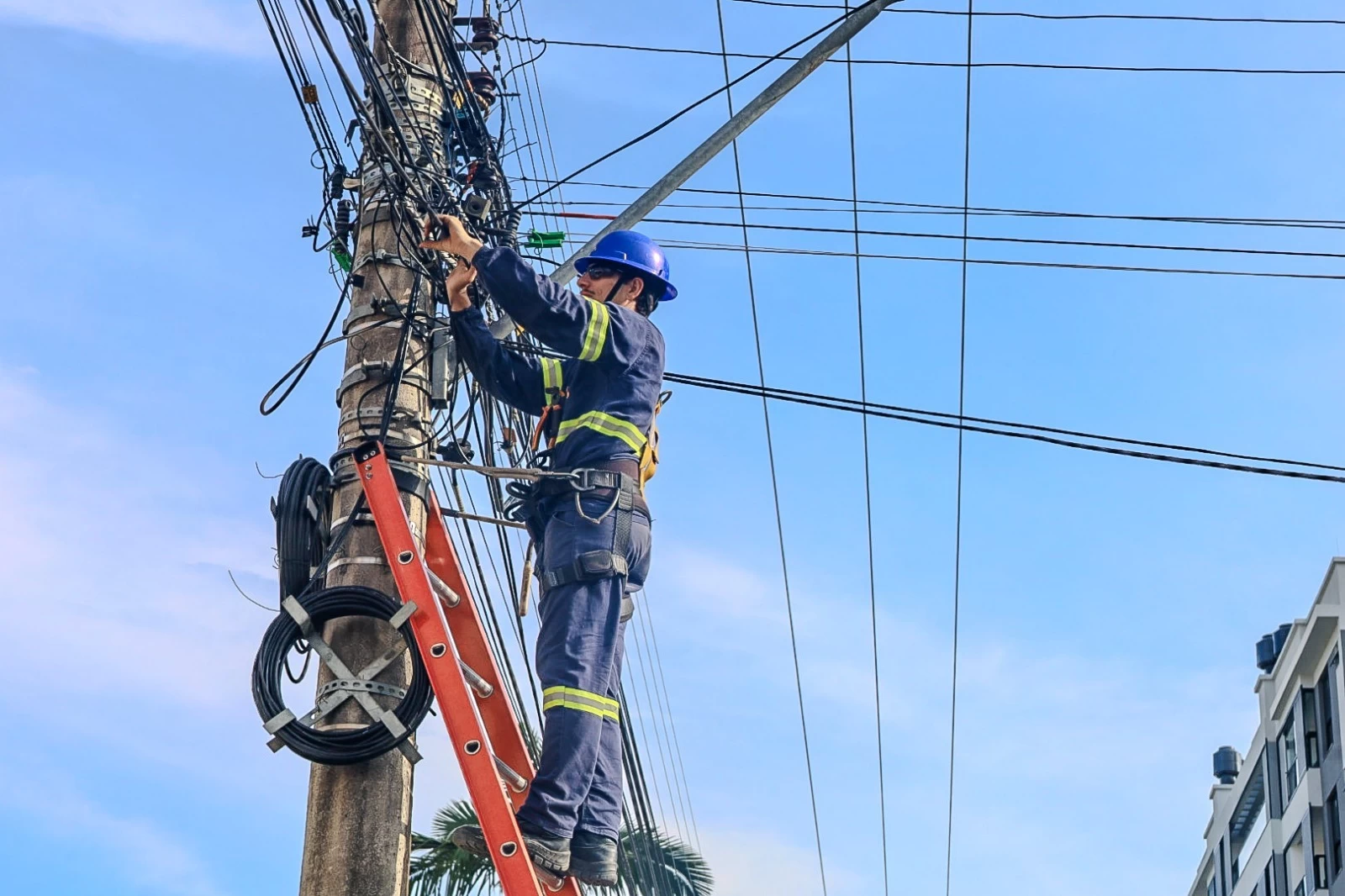 Força-tarefa da Cosip supera 15 toneladas de fios obsoletos recolhidos em Balneário Camboriú