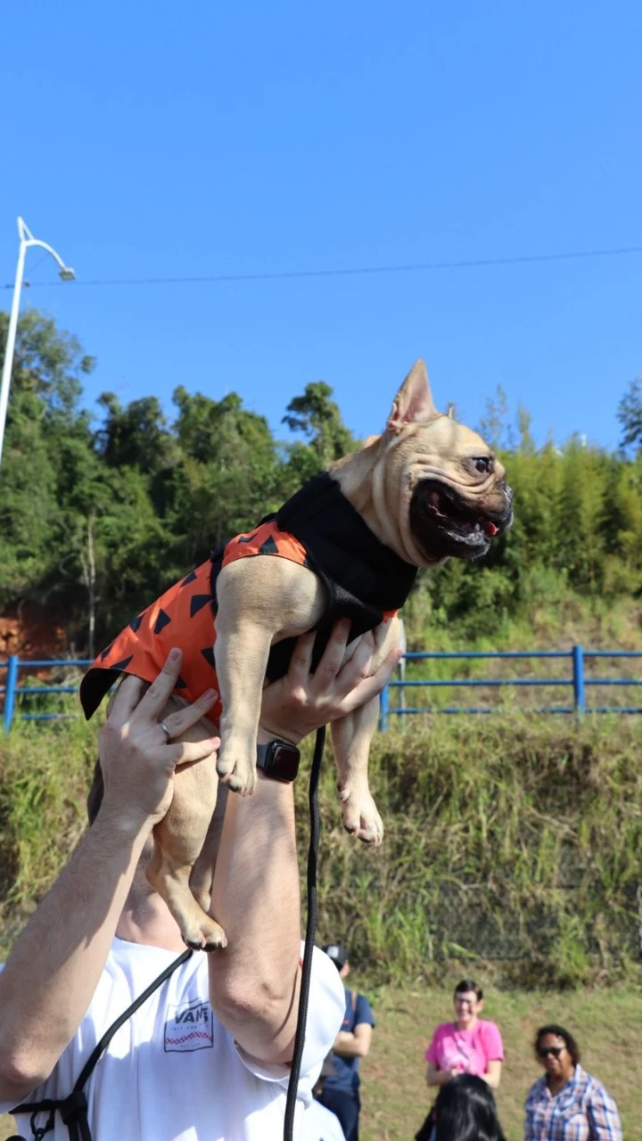 15ª Cãominhada movimenta Balneário Camboriú neste sábado