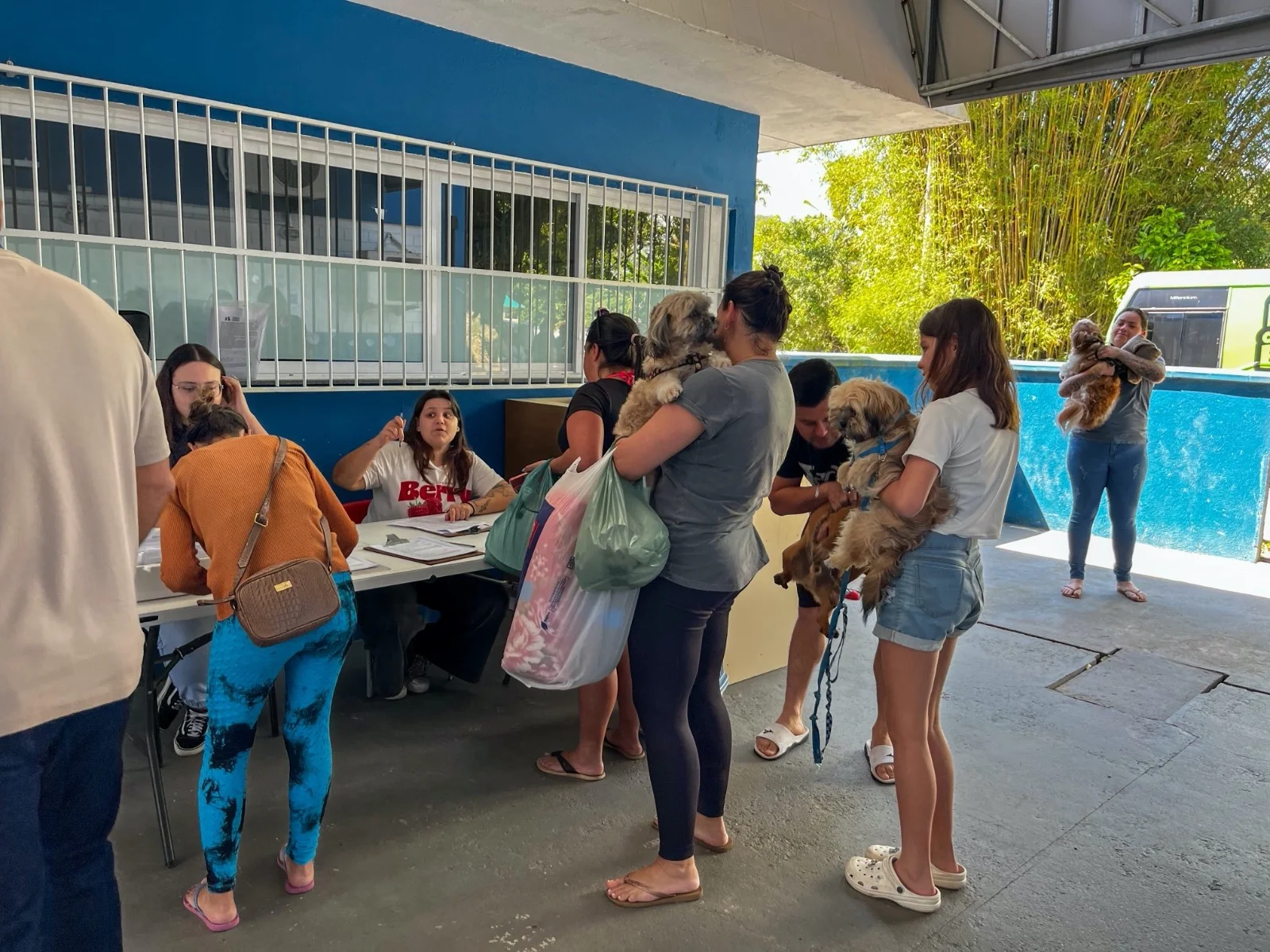 Balneário Camboriú realiza castrações gratuitas nos bairros das Nações e da Barra