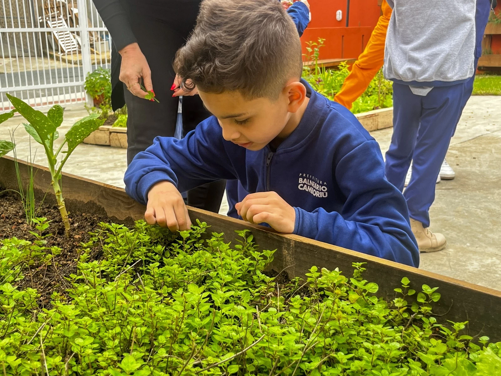 Crianças do NEI Ariribá visitam horta comunitária em Balneário Camboriú