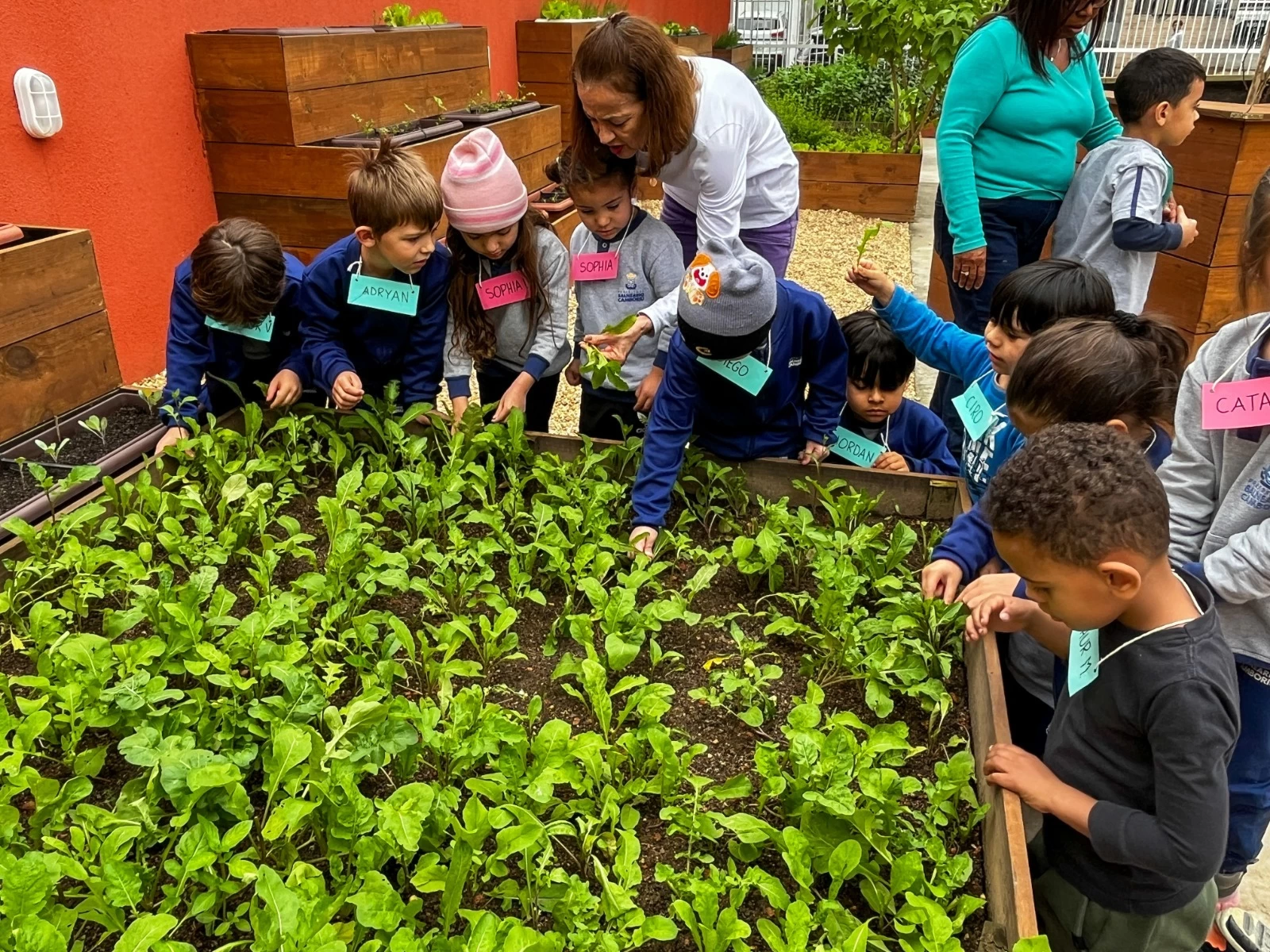 Foto: Divulgação/Marcos Brito