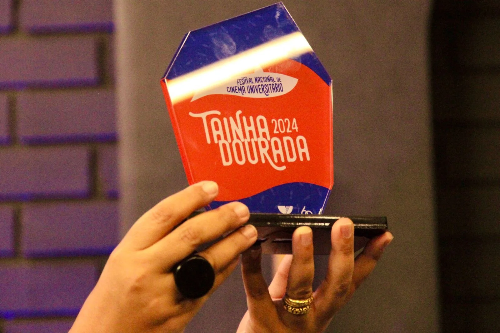 Festival Tainha Dourada divulga curtas selecionados em Itajaí