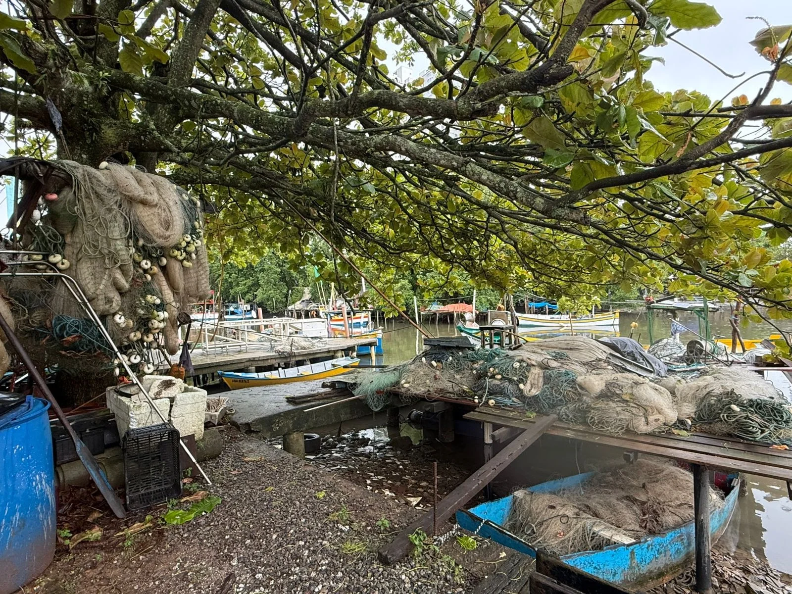 Reunião na Barra propõe reconhecimento da pesca do sete-barbas como patrimônio
