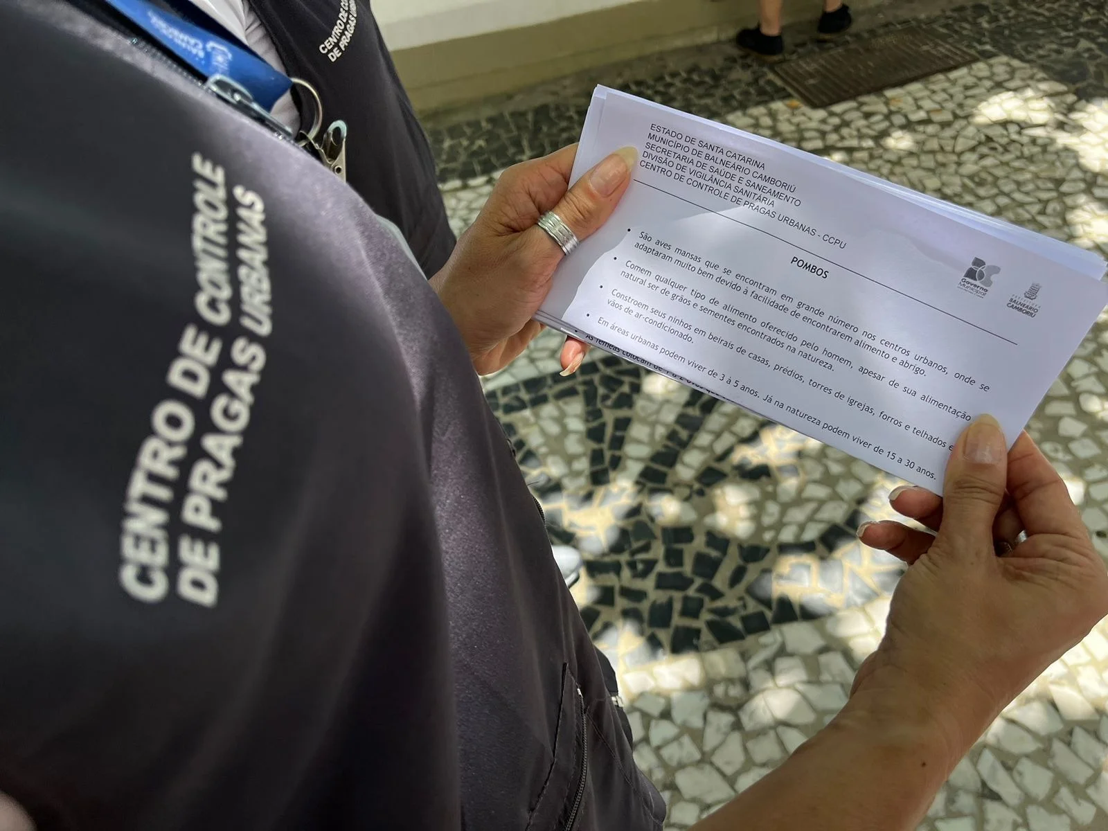 Foto: Divulgação PMBC