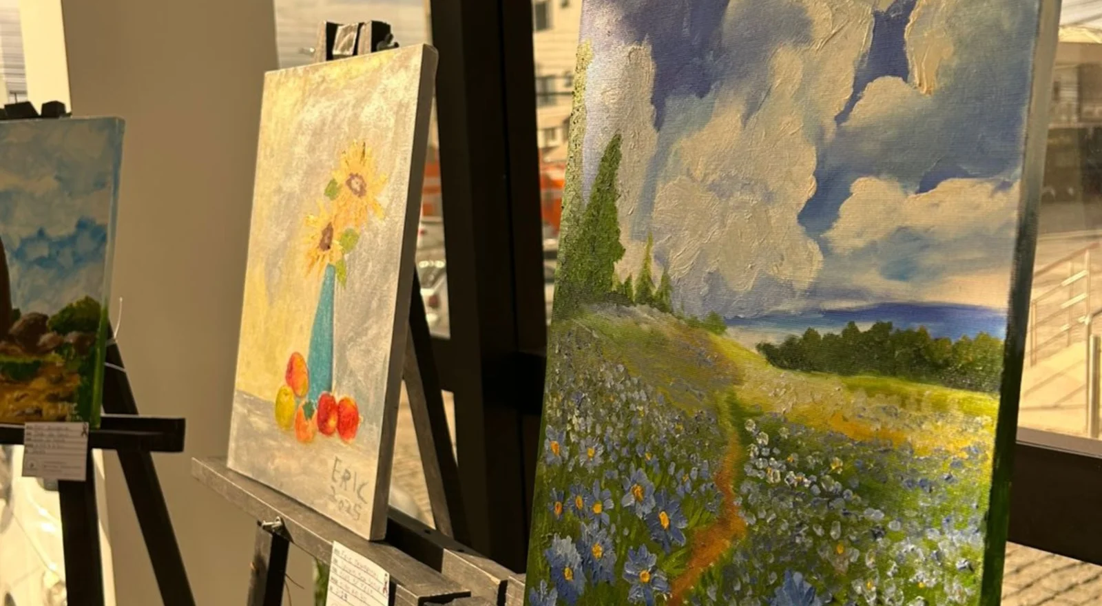 Menino autista de 11 anos ganha exposição em Camboriú