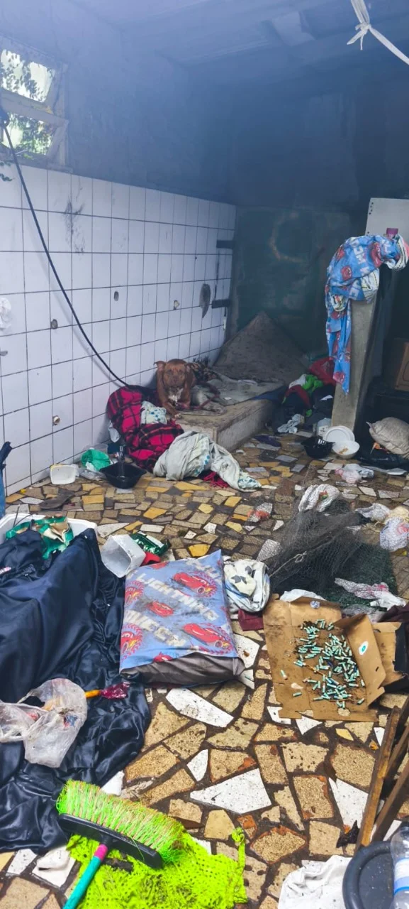 Guarda Ambiental resgata cão abandonado em residência no Bairro dos Estados, em Balneário Camboriú